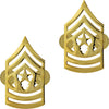 Army Gold-Brite Enlisted Rank