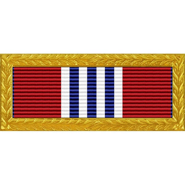 Delaware National Guard Governor's Meritorious Unit Award with Frame - Thin Ribbon Ribbons 