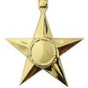 Bronze Star Anodized Medal