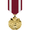 Meritorious Service Anodized Medal