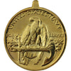 Navy Expeditionary Anodized Medal