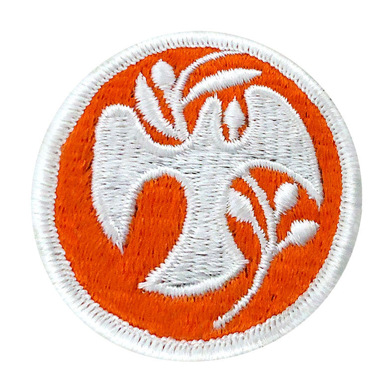 Multi-national Force and Observers Beret Flash Patches and Service Stripes 
