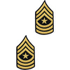 Army Dress Blue (Gold on Blue) Enlisted Rank - Male Size