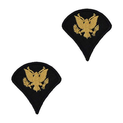 Army Dress Blue (Gold on Blue) Enlisted Rank