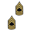 Army Dress Blue (Gold on Blue) Enlisted Rank - Female Size Rank 69768