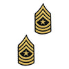 Army Dress Blue (Gold on Blue) Enlisted Rank - Female Size Rank 69770