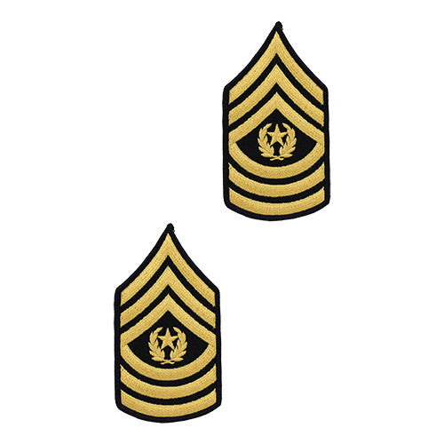 Army Dress Blue (Gold on Blue) Enlisted Rank - Female Size Rank 69771