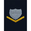 Coast Guard Embroidered Parka Rank - Enlisted and Officer Rank 70055