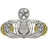 Air Force Band Badges Badges 7009