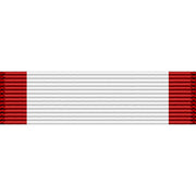 New Mexico National Guard Distinguished Service Medal Ribbon Ribbons 