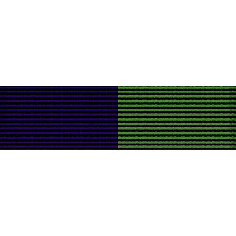 Arizona National Guard Community Service Ribbon | USAMM