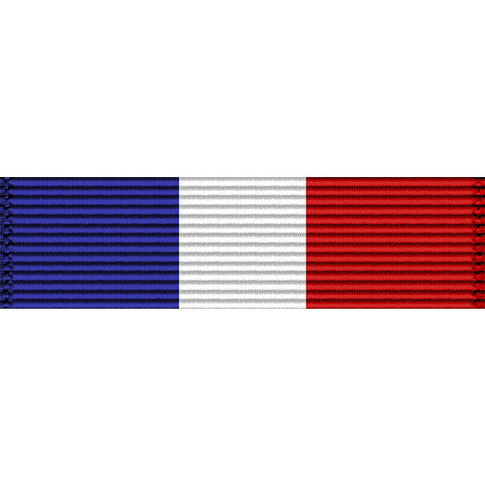 Connecticut National Guard Selected Reserve Force Medal Ribbon