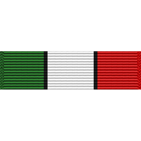 New York National Guard Desert Storm Service Medal Ribbon Ribbons 