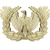 Army Service Cap Devices (ASU) Coat, Collar & Cap Insignia 80250