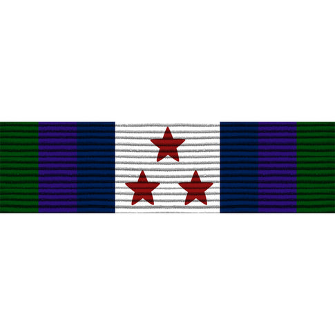 Washington D.C. National Guard Homeland Defense Ribbon