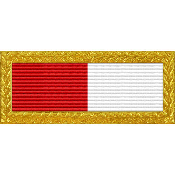 Georgia National Guard Distinguished Unit Citation with Frame Ribbons 