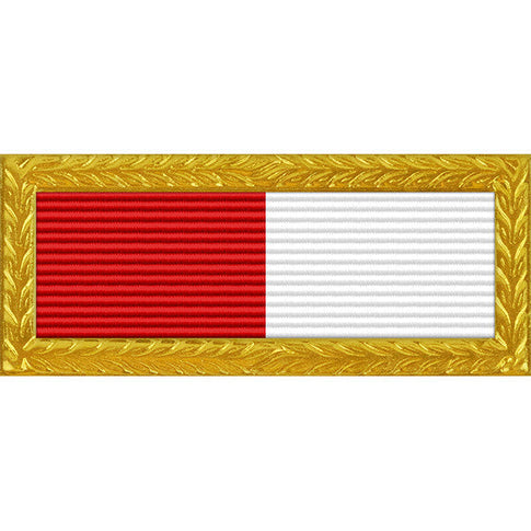 Georgia National Guard Distinguished Unit Citation with Frame