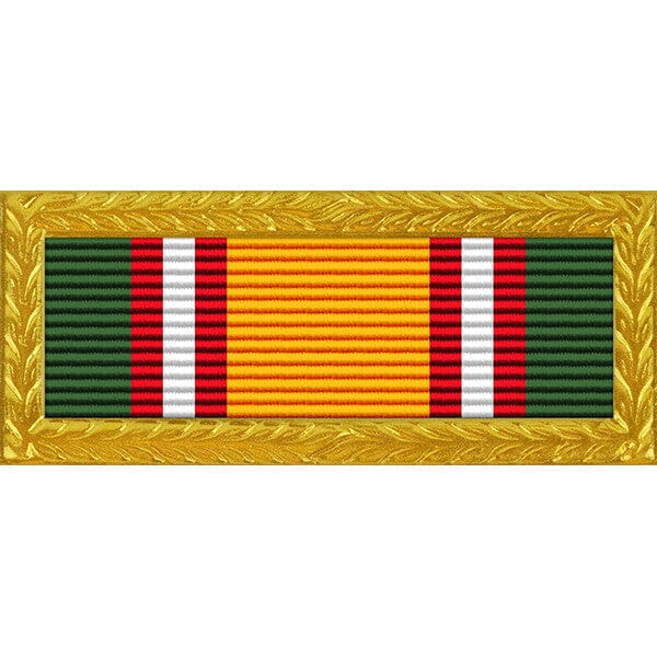 Tennessee National Guard Army Volunteer Recruiting & Retention Ribbon with Large Gold Frame Thin Ribbons 