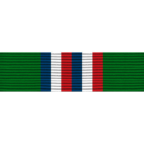 Texas State Guard Enlisted Basic Training Ribbon Ribbons 