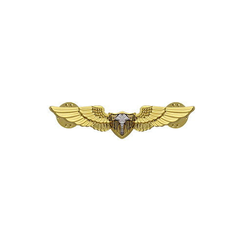 Coast Guard Miniature Flight Surgeon Insignia Badges 