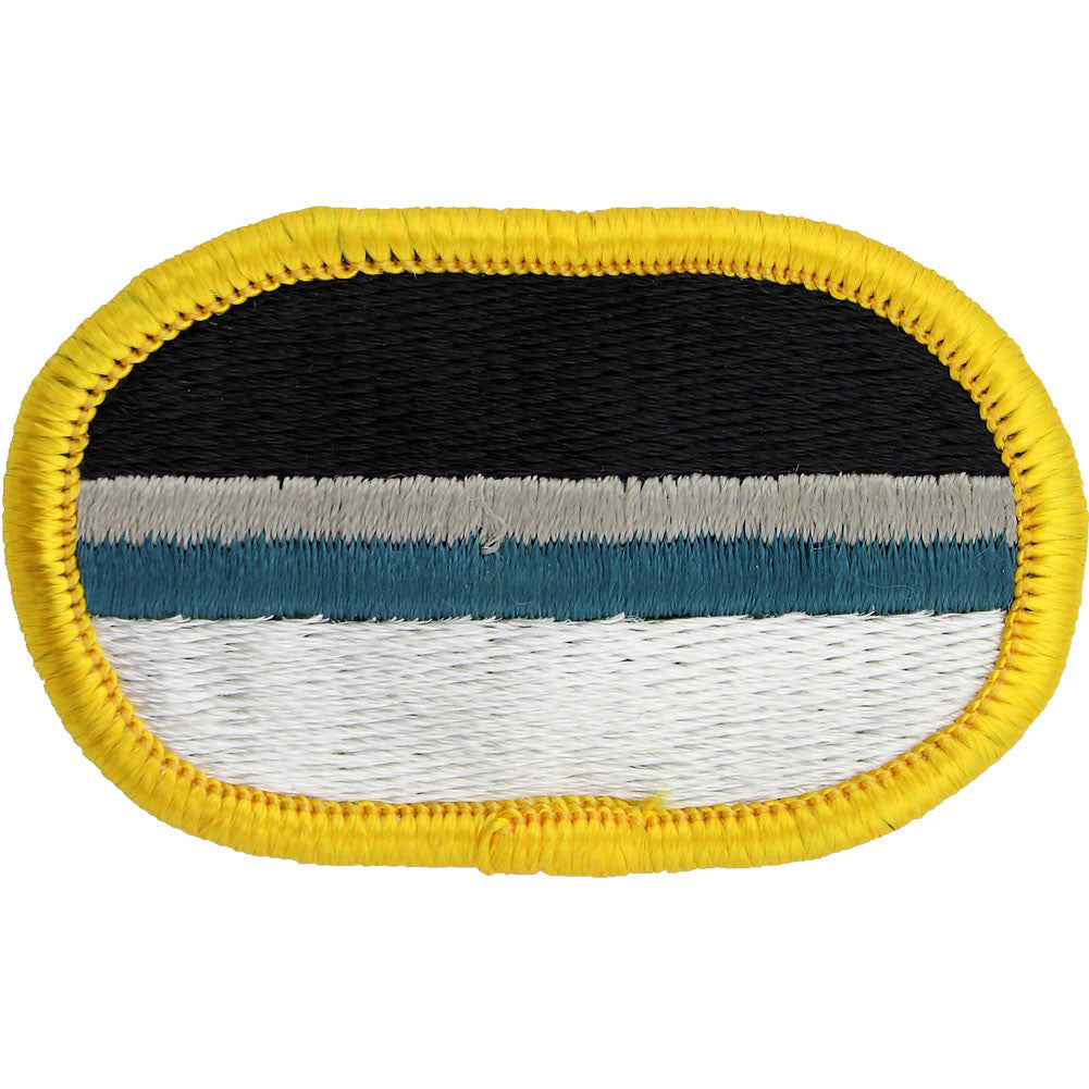 U.S. Army 14th Military Intelligence Battalion C Company (LRS) Oval Patch Patches and Service Stripes 