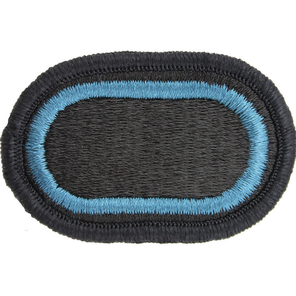 U.S. Army 173rd Airborne Brigade Combat Team Special Troops Battalion Oval Patch Patches and Service Stripes 