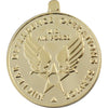 Air Force Nuclear Deterrence Operations Anodized Medal