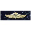 US Navy Embroidered Badge - Navy/Marine Parachutist