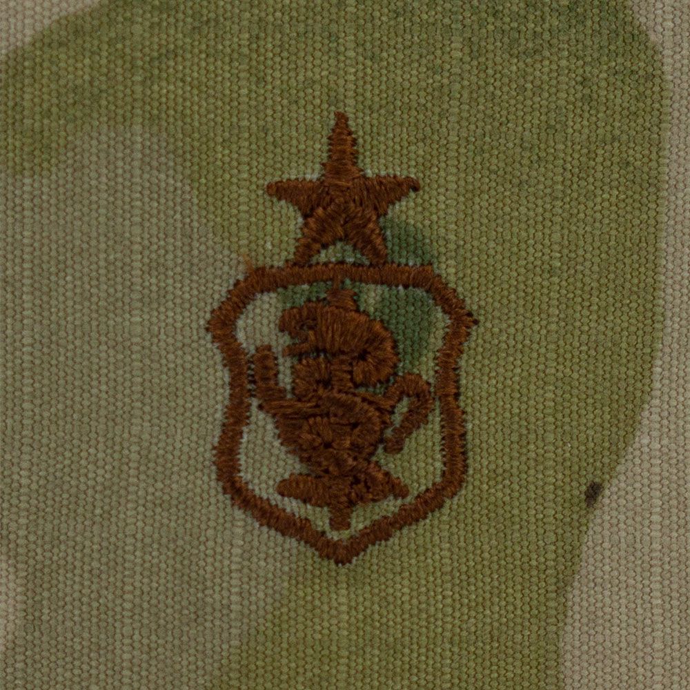 Air Force Nurse Badges Embroidered - OCP Badges 85013
