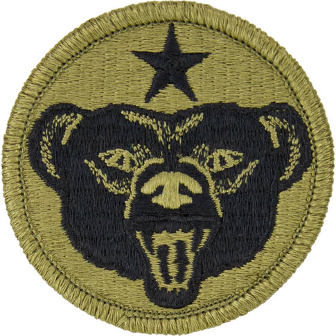 US Army Alaska OCP/Scorpion Patch