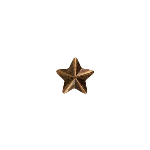5/16 Bronze Star Device