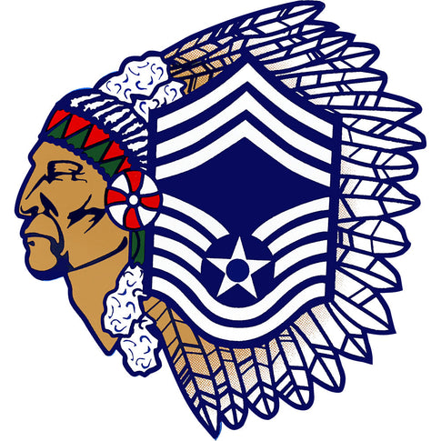 Air Force Master Sergeant Chief 3.5