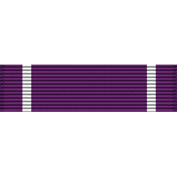 Civil Air Patrol - Curry Thin Ribbon Ribbons 