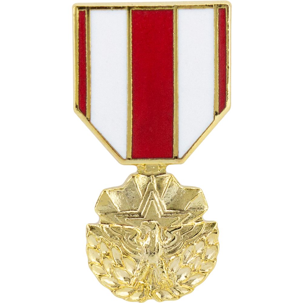 Meritorious Service Hat Pin Pins 