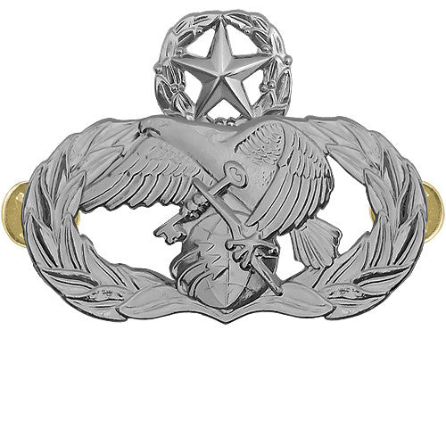 Air Force Logistics Readiness Badges Badges 7174