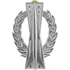 Air Force Missile Operator Badges Badges 7116
