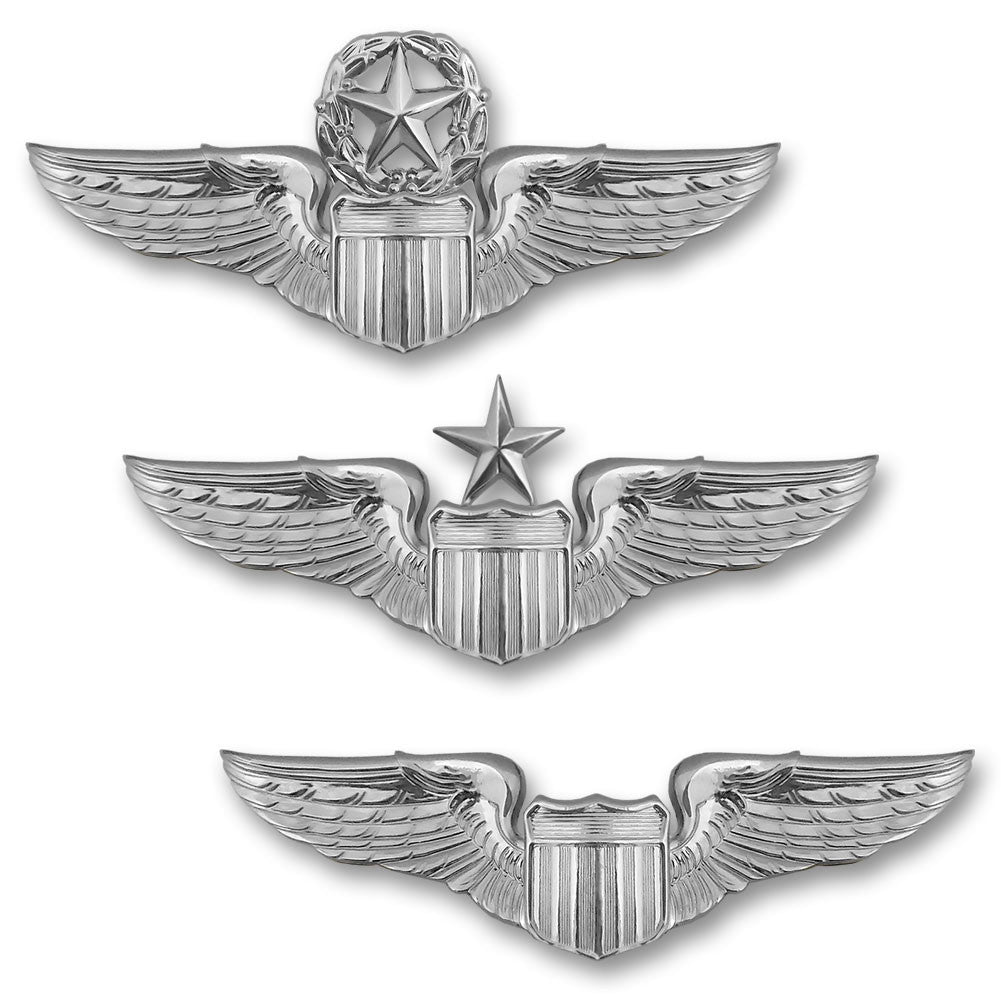 Force Air Master - Pilot U.S. FORCE ピンバッジ Badge Wings