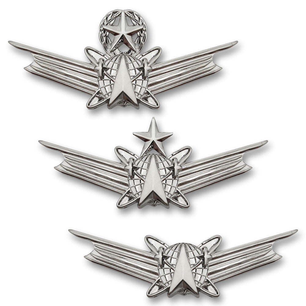 Army Space Command Badge