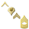 Army Gold-Brite Enlisted Rank Rank 