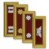 Army Female Shoulder Boards - Logistics - Sold in Pairs