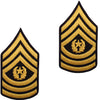 Army Class A (Gold on Green) Enlisted Rank - Male Size Rank 6521 CSM-M