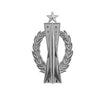 Air Force Miniature Missile Operator Badges