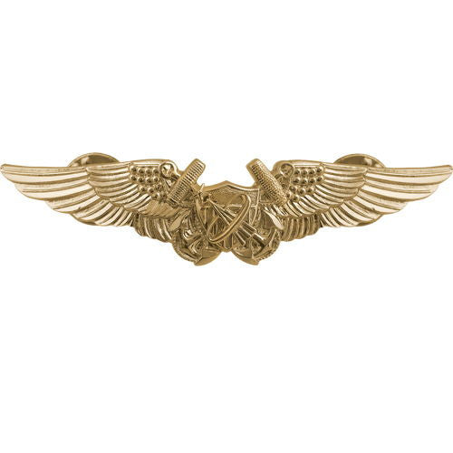 Navy Naval Astronaut Naval Flight Officer Insignia Badges 