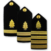 Navy Male Hard Shoulder Board - Dental Corps - Sold in Pairs