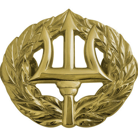 Navy Command Ashore Insignia