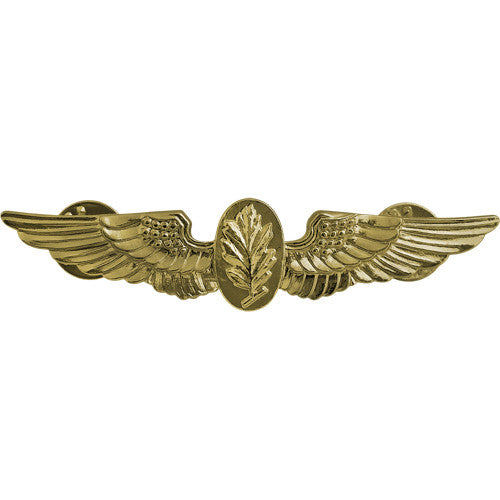 Navy Experimental Psychologist / Aviation Physiologist Insignia Badges 