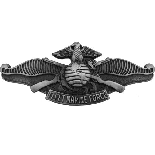 Usff Fleet Marine Force Logo 12th MLR Medical Officer Receives Fleet Marine