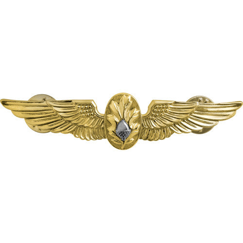 Navy Naval Flight Surgeon Insignia Badges 