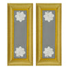 Army Female Shoulder Boards - Finance - Sold in Pairs