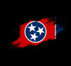 Tennessee Flag Paint Swatch T-Shirt